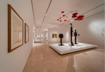 Obra: Exposición Calder-Picaso - Autor: Joaquín Millán Villamuelas - Localización: Málaga